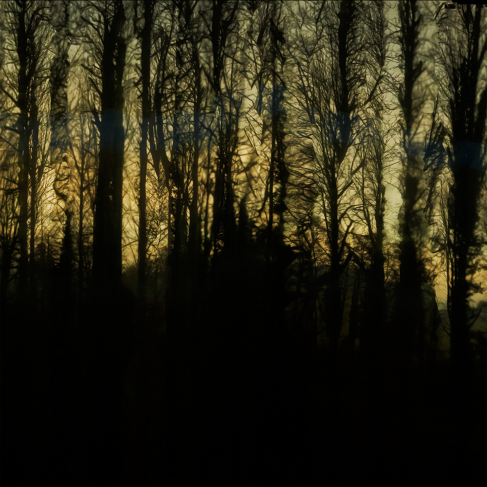 Broken Landscape 6