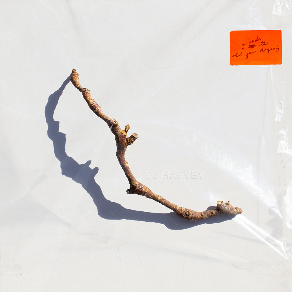 Record cover