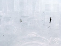 The White Album 7